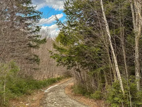 00 Boone Road Andover VT 05143