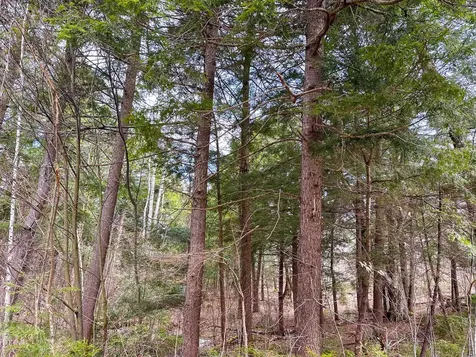 00 Boone Road Andover VT 05143