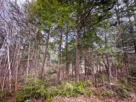 00 Boone Road Andover VT 05143