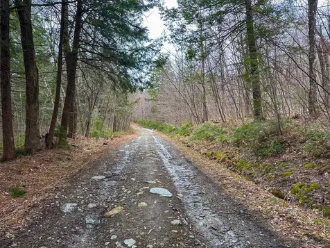 00 Boone Road Andover VT 05143
