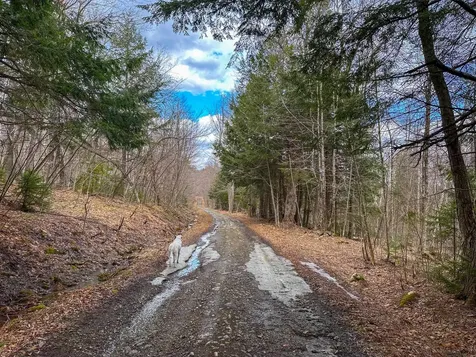 00 Boone Road Andover VT 05143