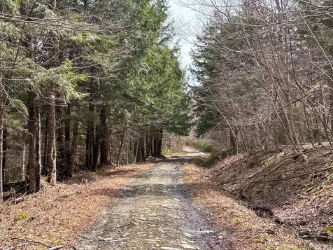 00 Boone Road Andover VT 05143