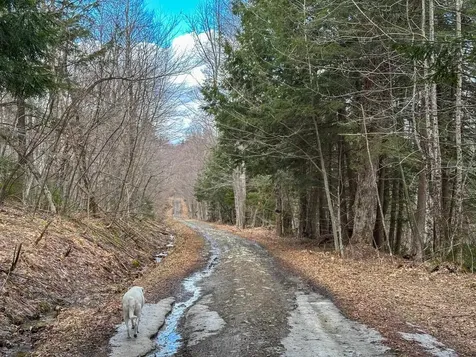 00 Boone Road Andover VT 05143