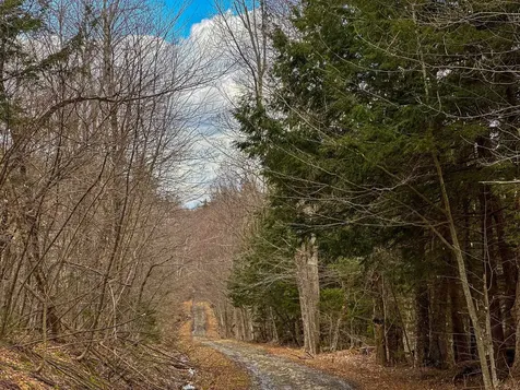 00 Boone Road Andover VT 05143