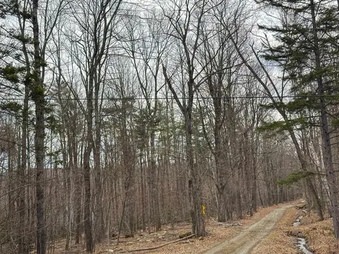 00 Boone Road Andover VT 05143