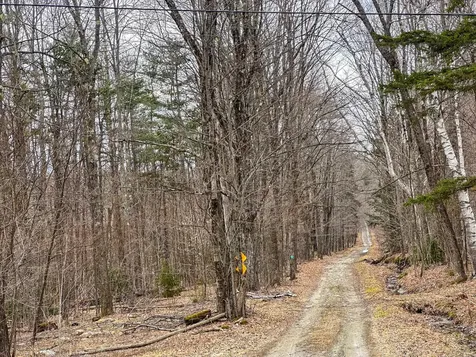 00 Boone Road Andover VT 05143