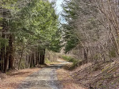 00 Boone Road Andover VT 05143