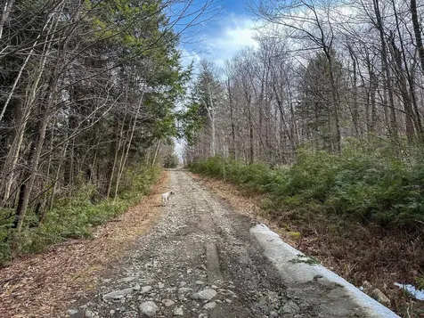 00 Boone Road Andover VT 05143