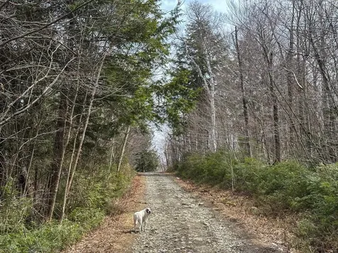 00 Boone Road Andover VT 05143