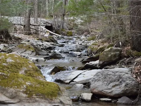 311 Brown Hill West Starksboro VT 05487