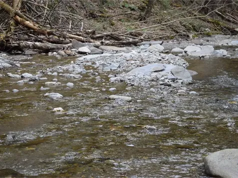 311 Brown Hill West Starksboro VT 05487