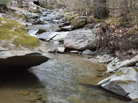 311 Brown Hill West Starksboro VT 05487