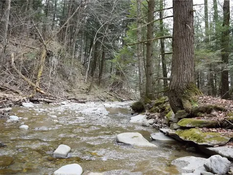 311 Brown Hill West Starksboro VT 05487