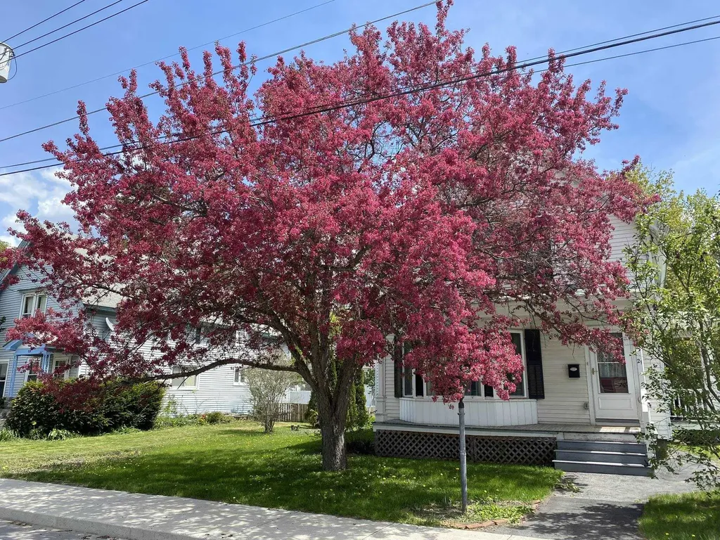 21 Park Street Barre City VT 05641