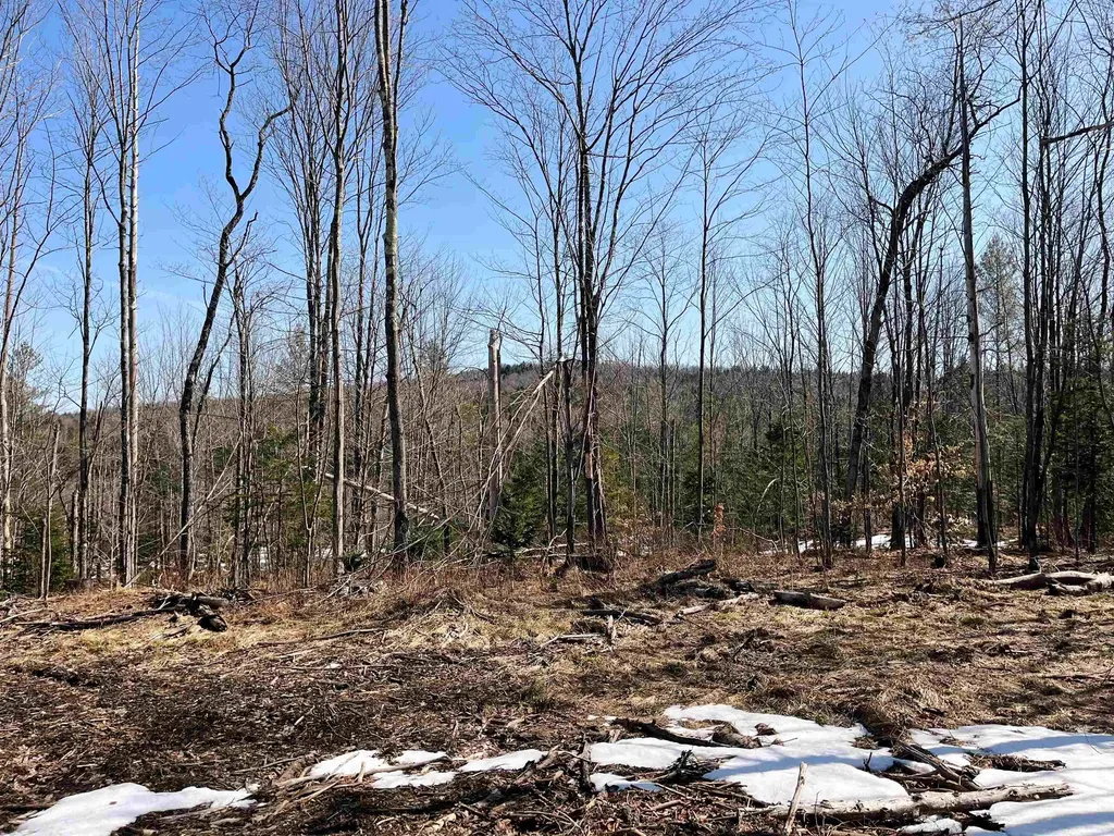 0 Blodgett Road Lowell VT 05847