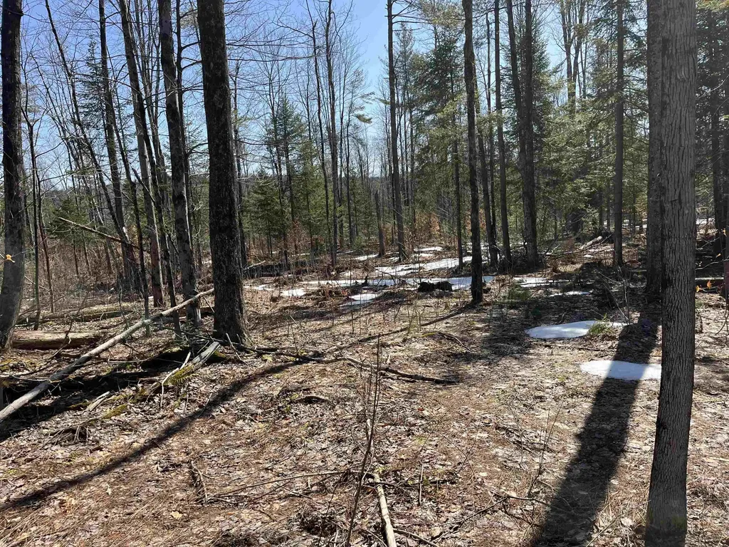 0 Blodgett Road Lowell VT 05847