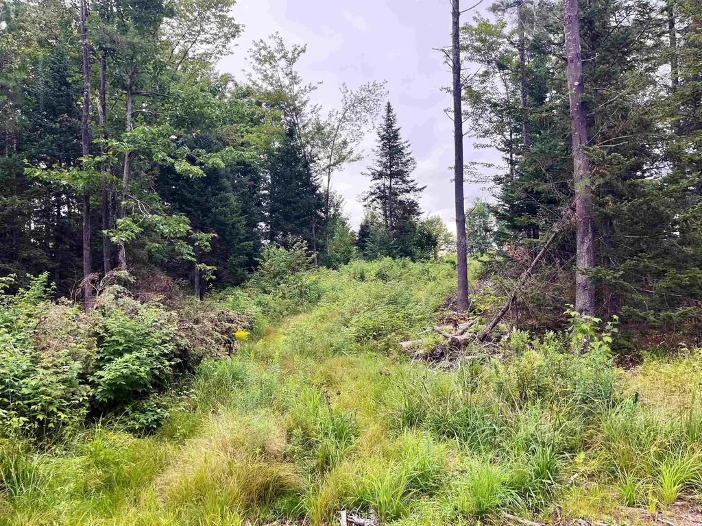 0 Blodgett Road Lowell VT 05847