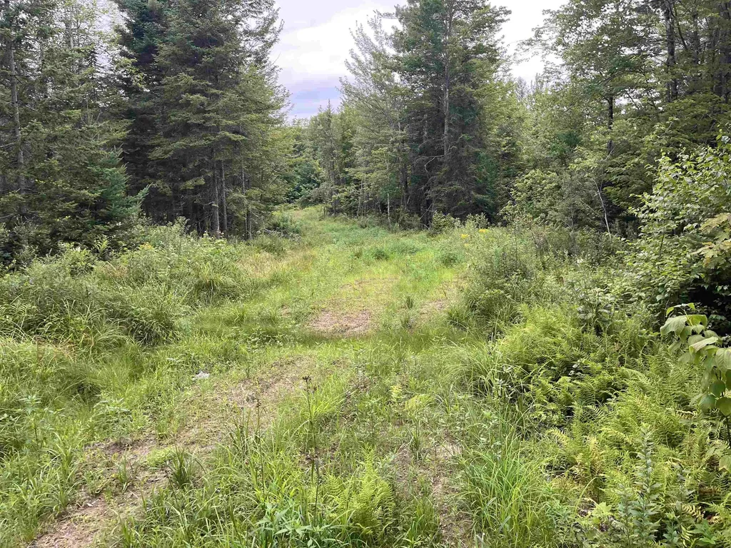 0 Blodgett Road Lowell VT 05847