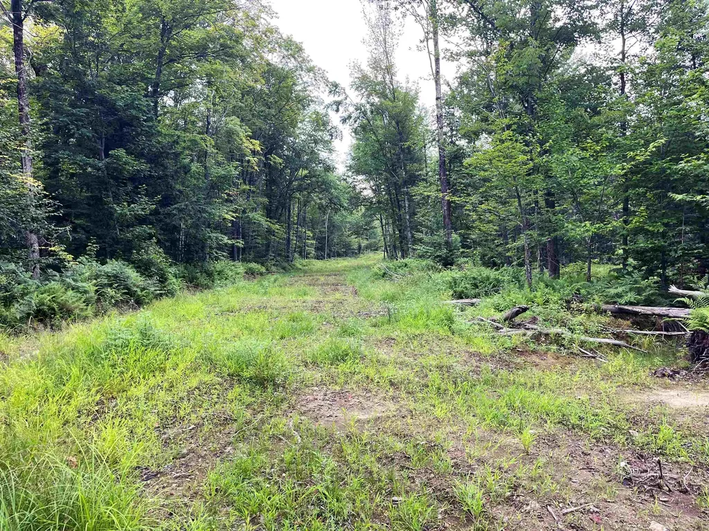 0 Blodgett Road Lowell VT 05847