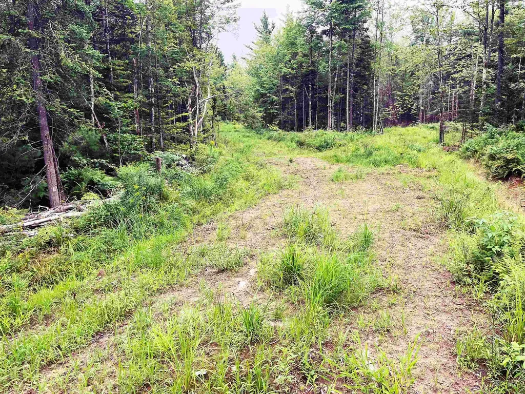 0 Blodgett Road Lowell VT 05847