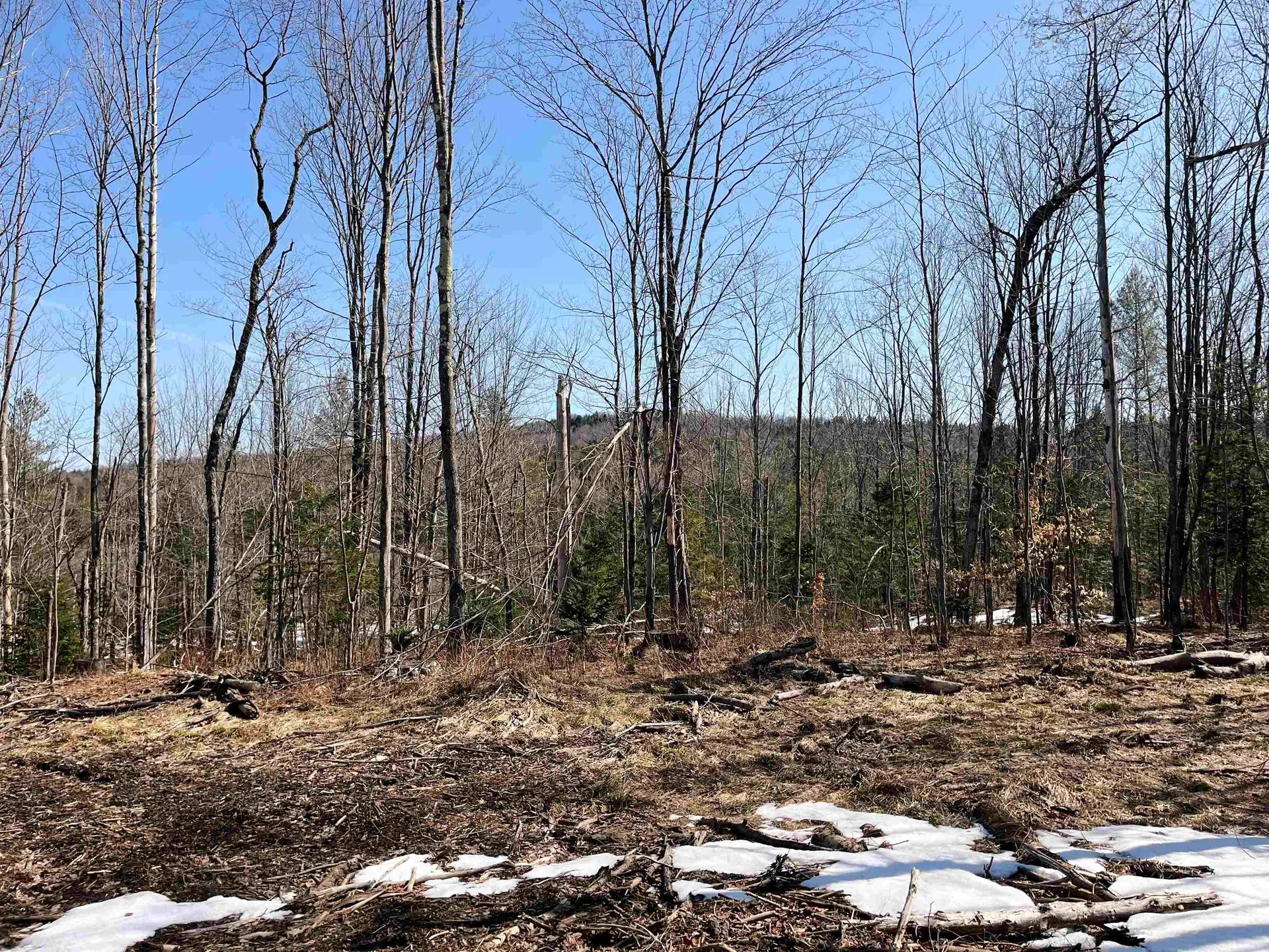 0 Blodgett Road Lowell VT 05847