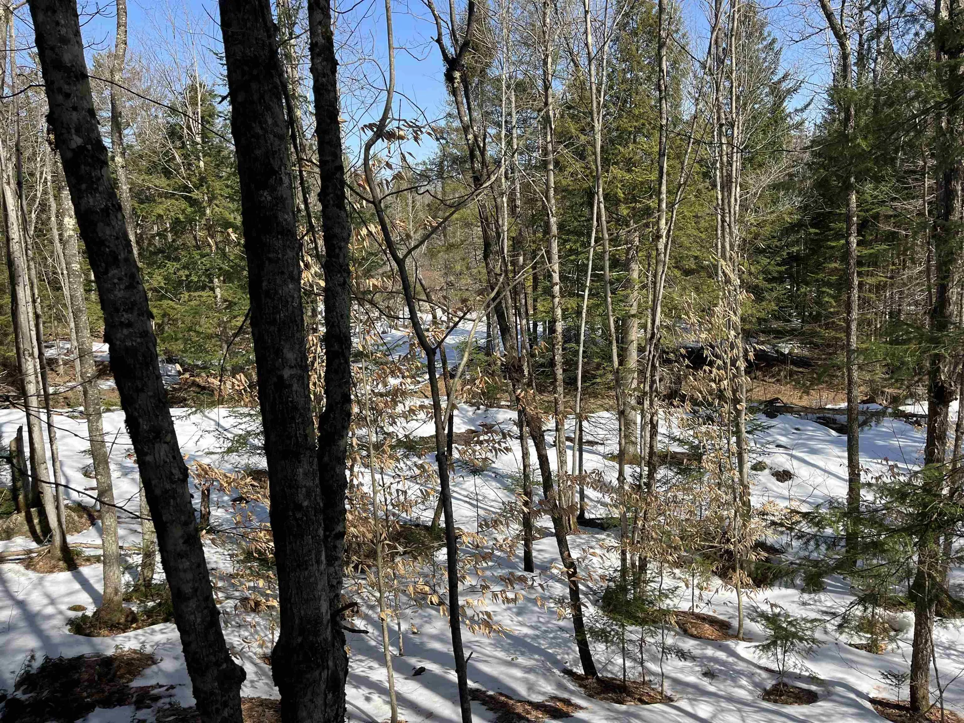 0 Blodgett Road Lowell VT 05847