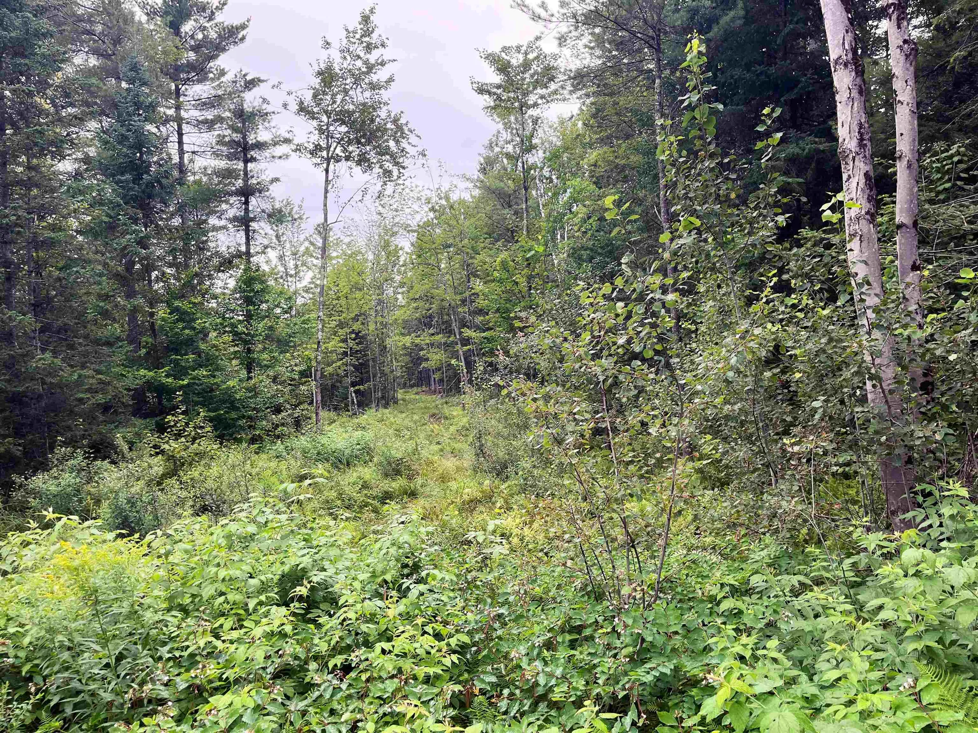 0 Blodgett Road Lowell VT 05847