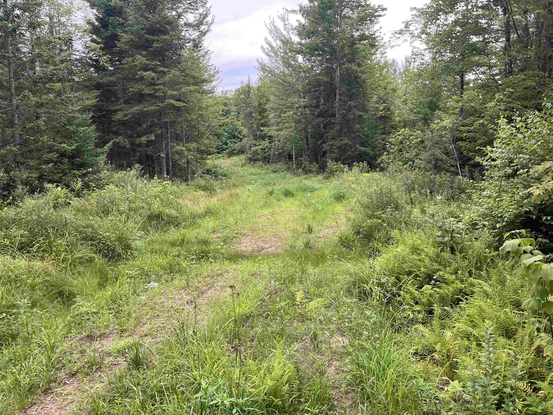 0 Blodgett Road Lowell VT 05847