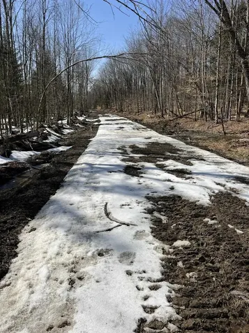 0 Blodgett Road Lowell VT 05847