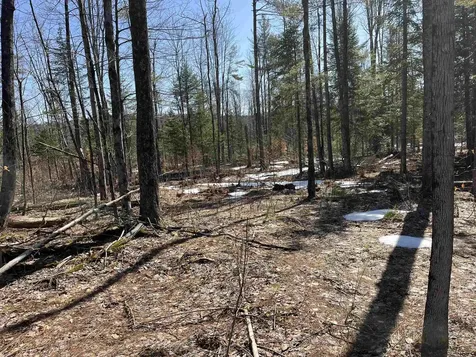 0 Blodgett Road Lowell VT 05847