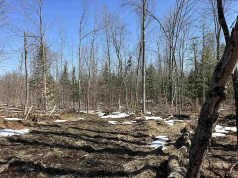 0 Blodgett Road Lowell VT 05847