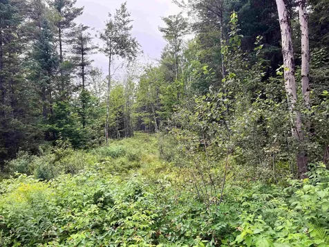 0 Blodgett Road Lowell VT 05847