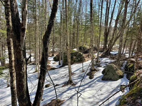 0 Blodgett Road Lowell VT 05847