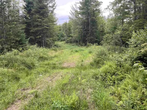 0 Blodgett Road Lowell VT 05847