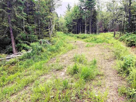 0 Blodgett Road Lowell VT 05847