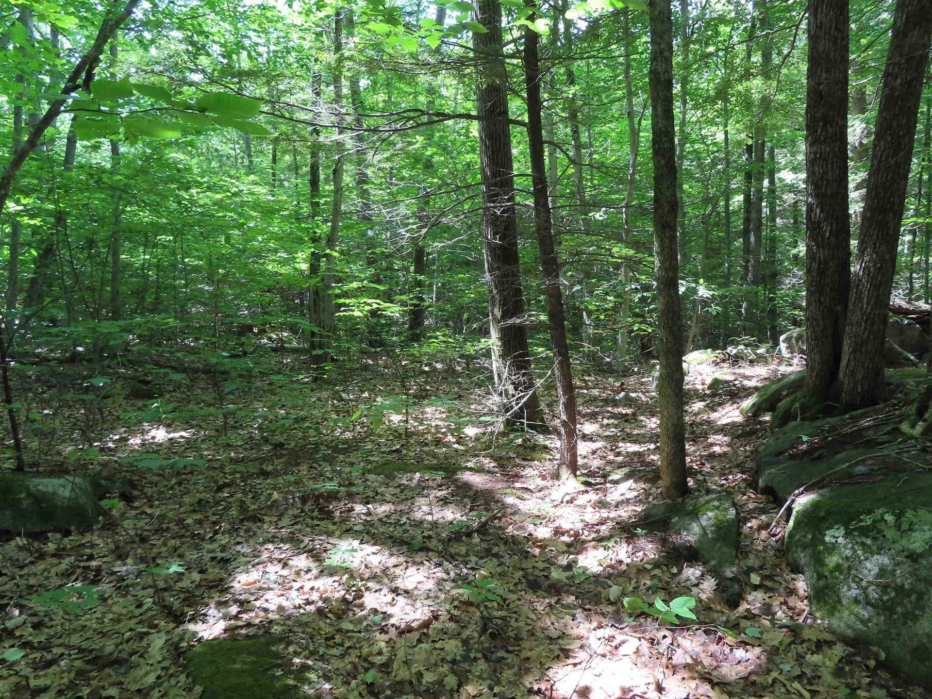 Lots 134-135 Wendy Drive Alton NH 03810