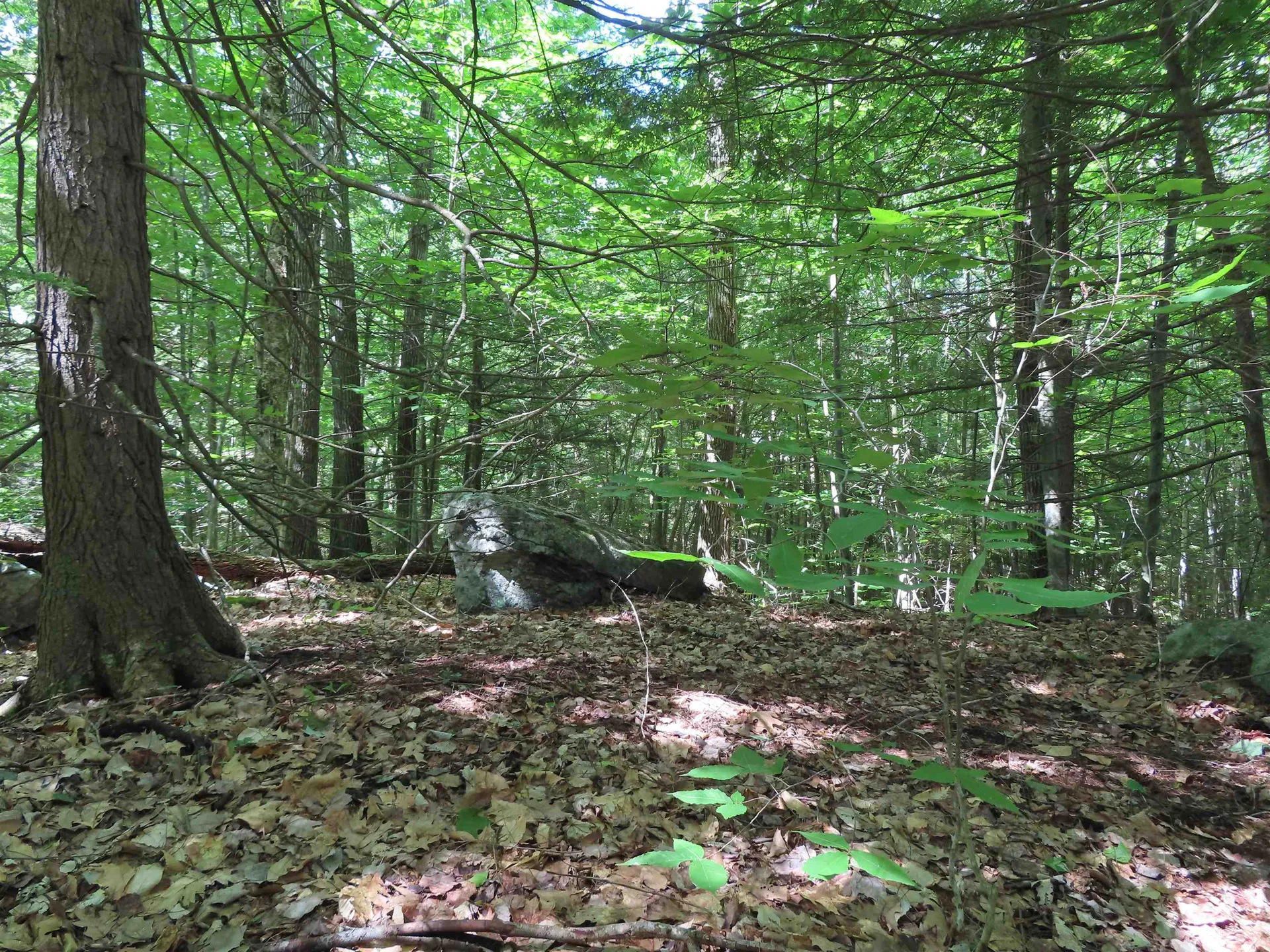 Lots 134-135 Wendy Drive Alton NH 03810