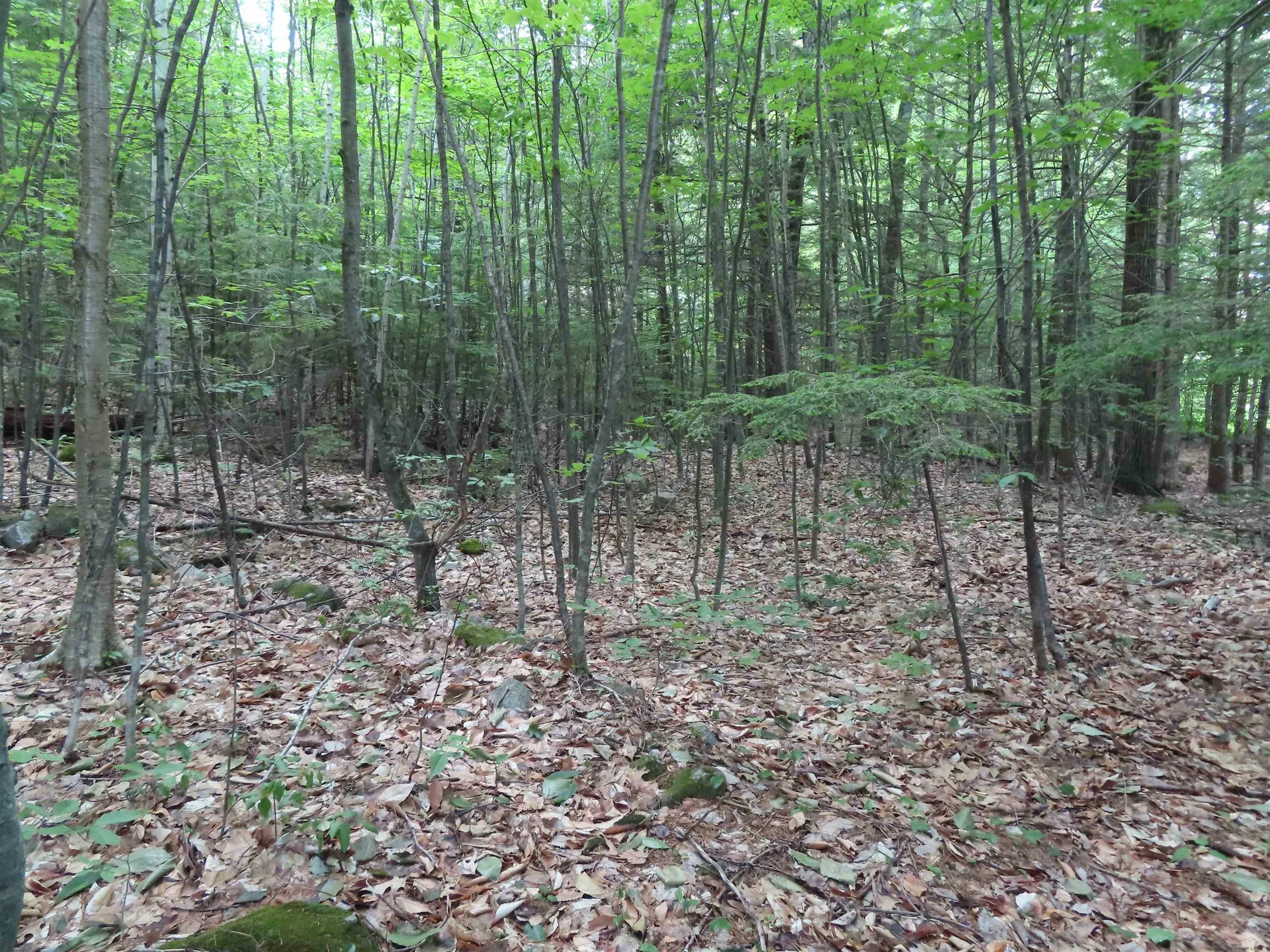 Lots 134-135 Wendy Drive Alton NH 03810