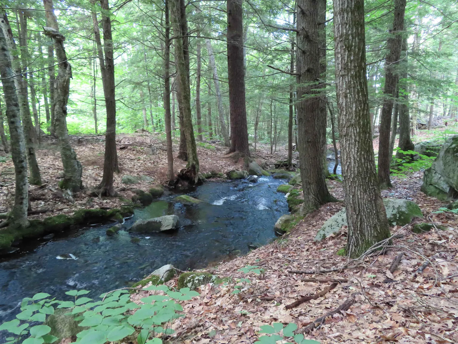 Lots 134-135 Wendy Drive Alton NH 03810