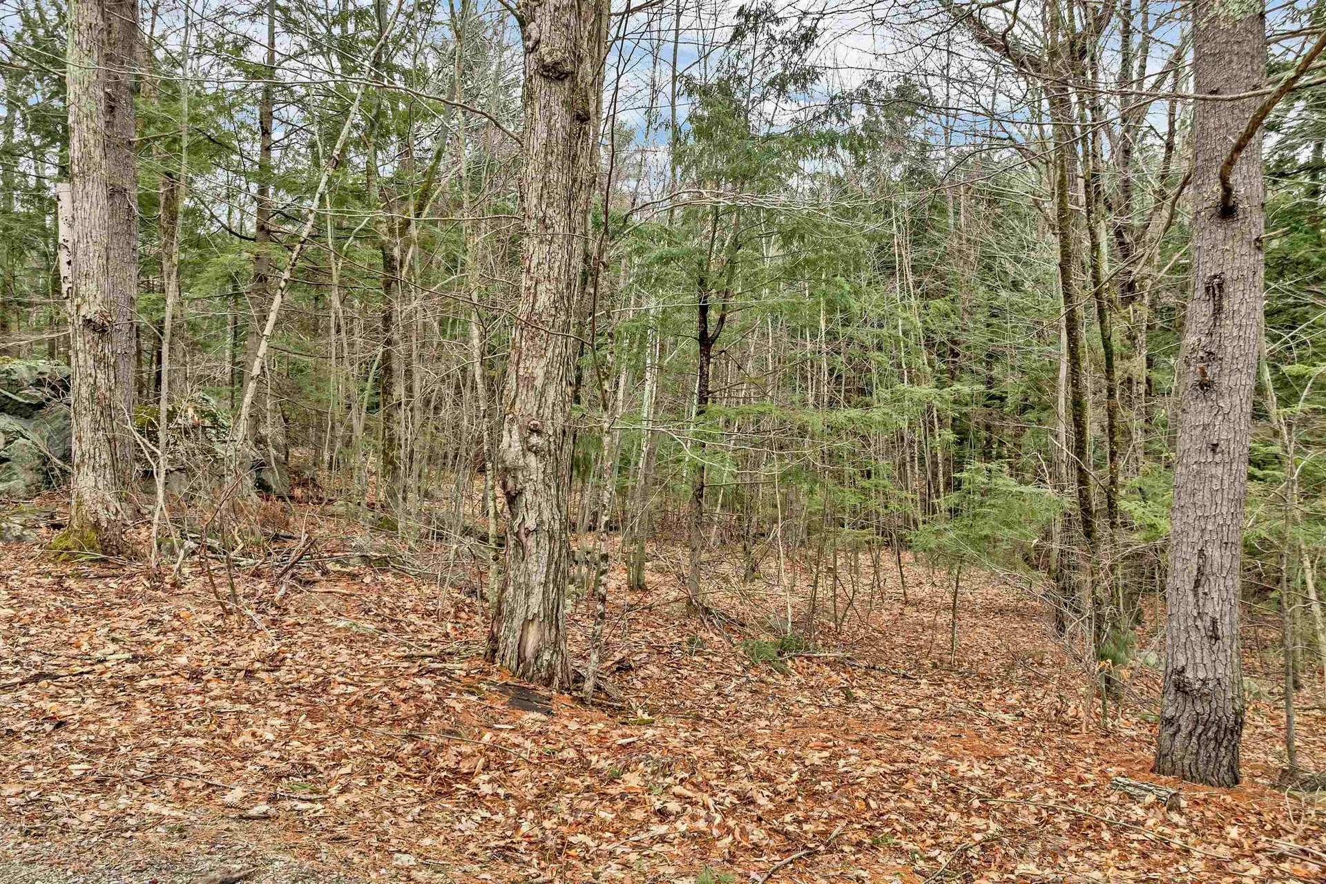 Lots 134-135 Wendy Drive Alton NH 03810