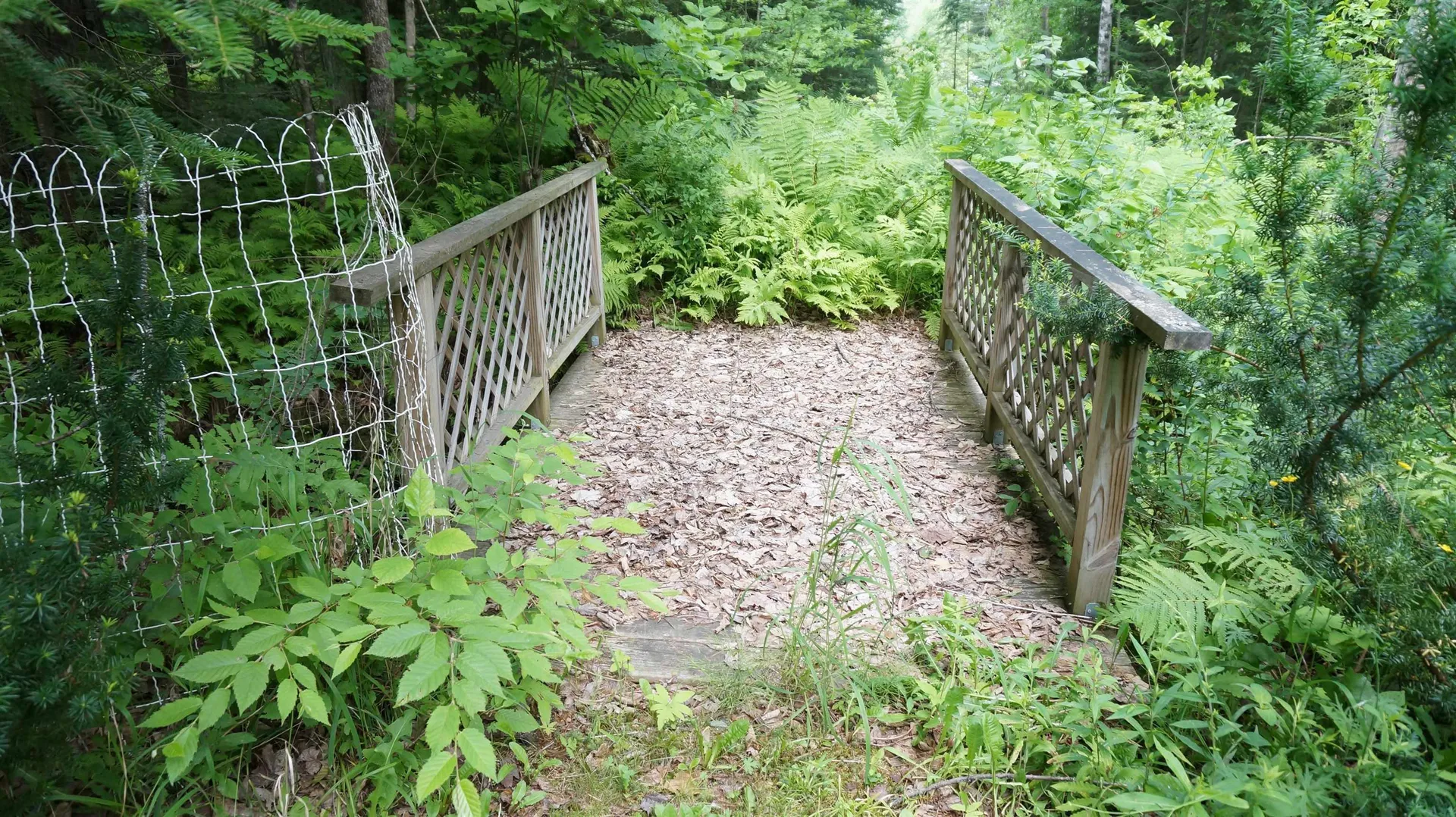 163 Harriman Road Dalton NH 03598
