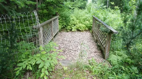 163 Harriman Road Dalton NH 03598