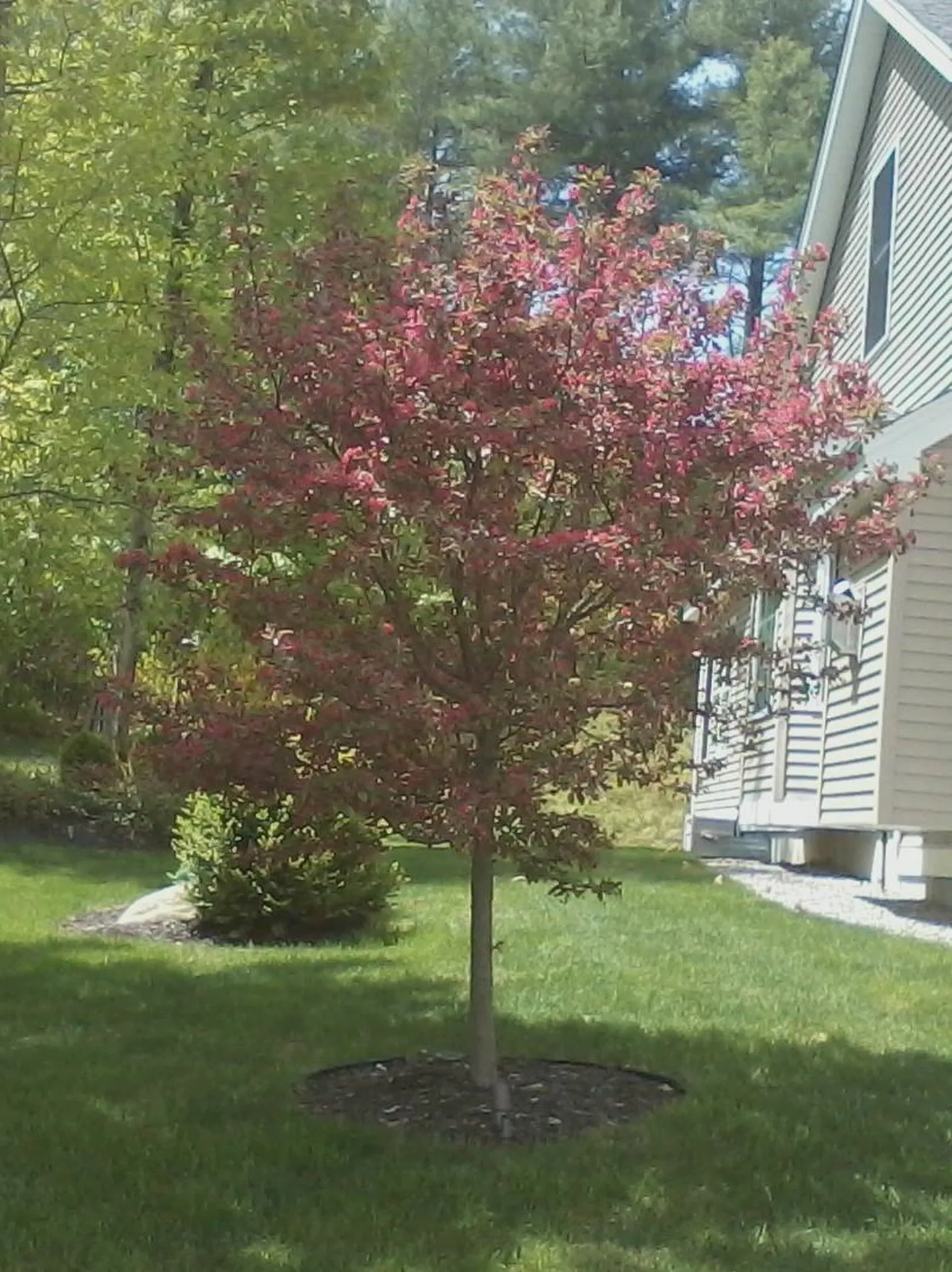 29 Port Way Laconia NH 03246