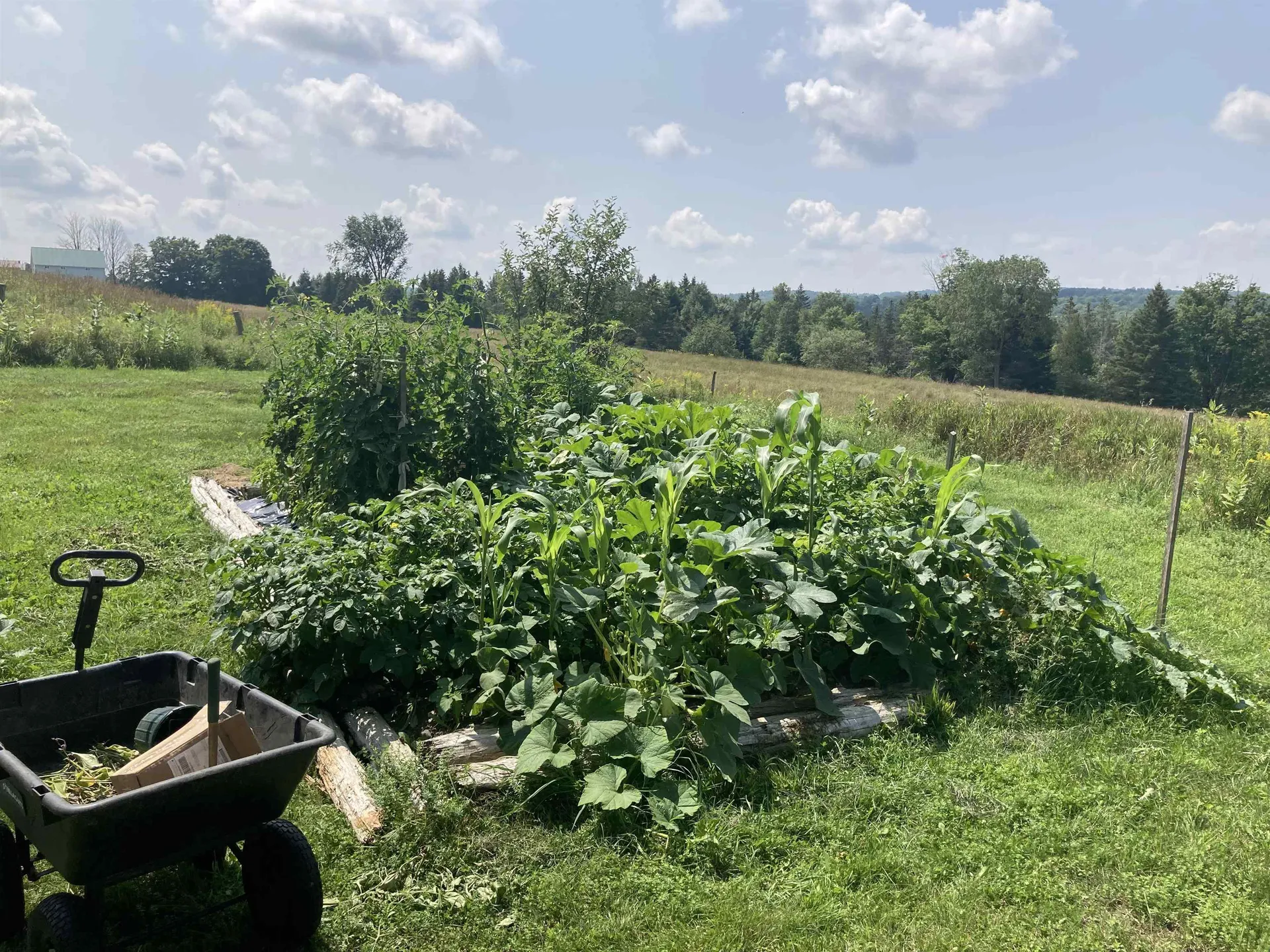 1423 Stearns Brook Road Holland VT 05830