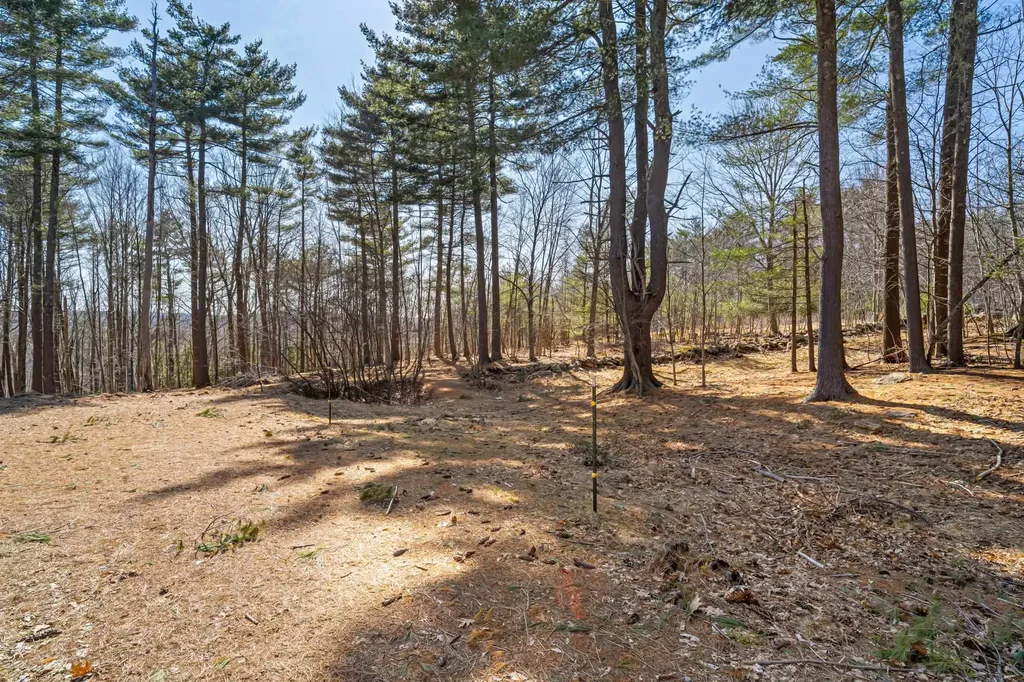 77 Holmes Road Barnstead NH 03225