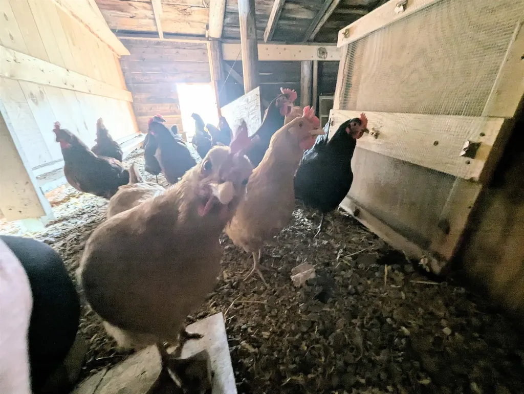 691 Old Stone House Road Brownington VT 05860