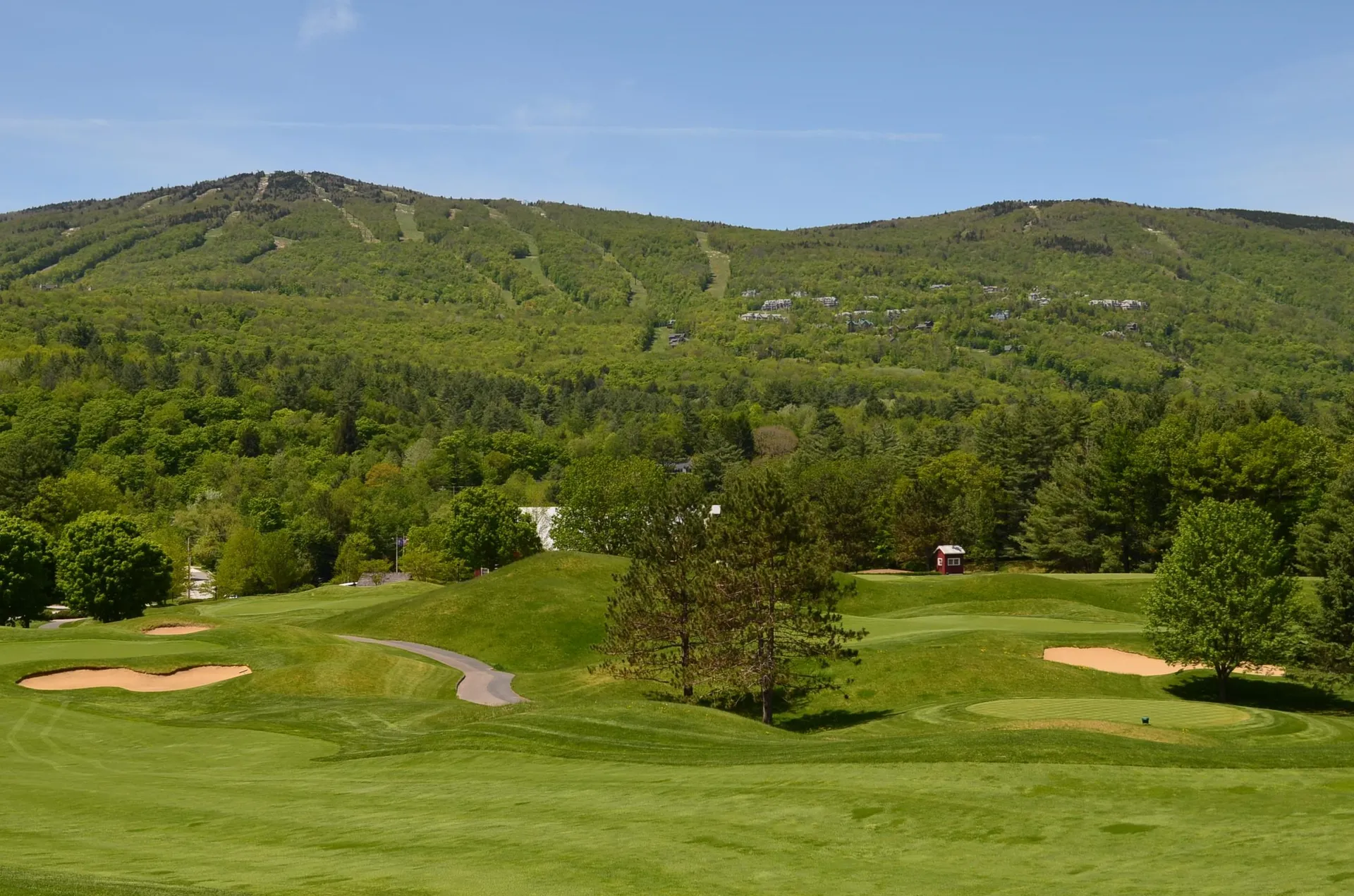 32 Route 103 South Ludlow VT 05149