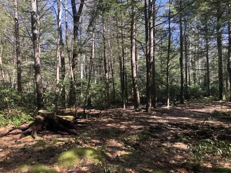 0 Howeville Road Fitzwilliam NH 03447