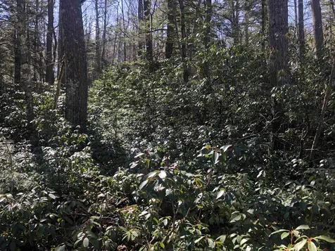 0 Howeville Road Fitzwilliam NH 03447