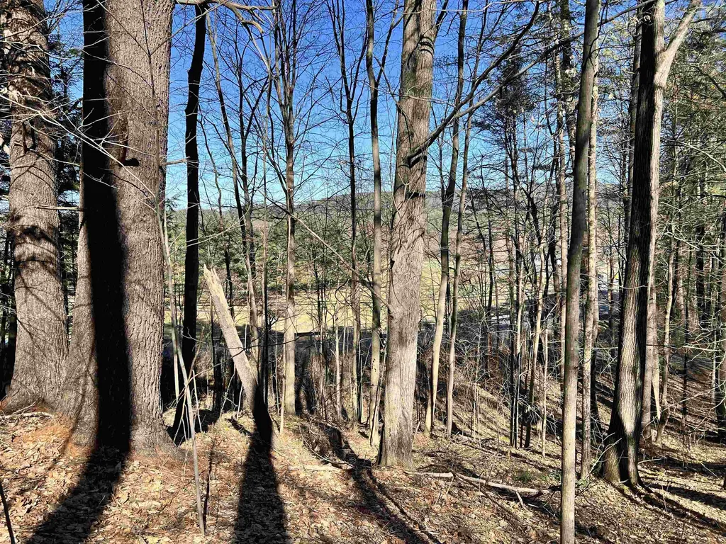 00 Snow Lane Windsor VT 05089